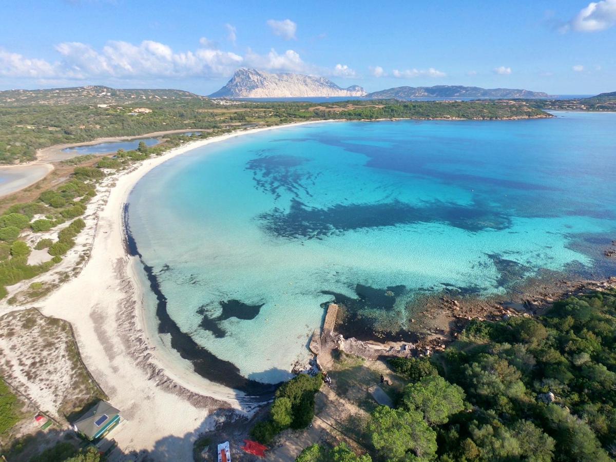 Iss Travel, Villa Fiorita - 800 M From La Cinta Beach San Teodoro  Dış mekan fotoğraf